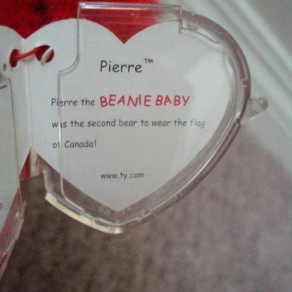 TY Buddy Bear & Beanie Baby - Pierre - Picture 6 of 7